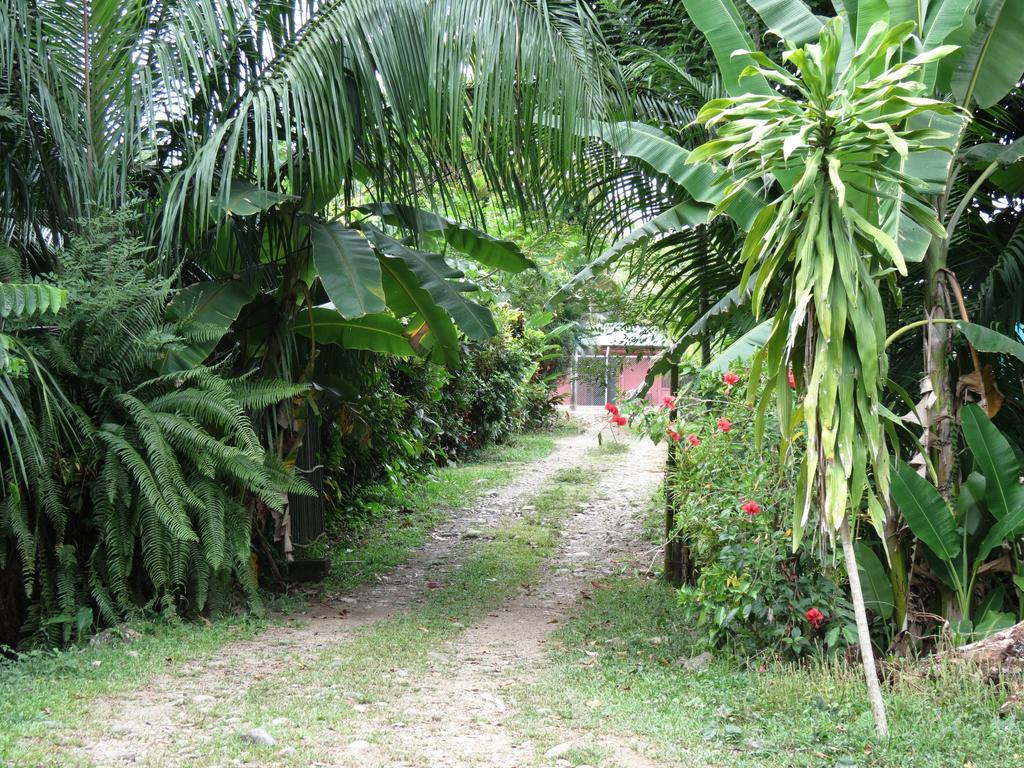 El Toboso Bed&Breakfast Uvita Exterior foto